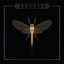 Mayflies