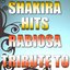 Tribute to Shakira: Rabiosa