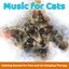 Music for Cats - Calming Sounds for Pets and Cat Sleeping Therapy