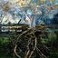 Reformat To Run - Single