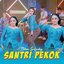 Santri Pekok