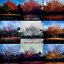 Morphoses