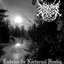 To Embrace The Nocturnal Hymns