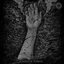 Echoes of Pompeii - Single