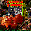 Redneck Zombies