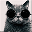 Avatar de SOFUCKINGLOUD