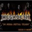 30 Mega Metal Years