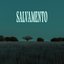 SALVAMENTO