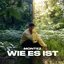 Wie es ist