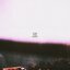 Lose the Light - Single