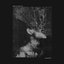 Parasite - Single