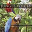 Jungle Voices