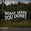What Have You Done?