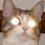 Avatar di JohnZ777