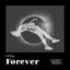 Falling Forever