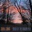 Dawn of the Dogwalker