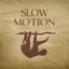 Slow Motion