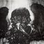 The Wormlust collective