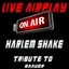 Harlem Shake: A Tribute to Baauer