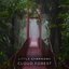 Cloud Forest