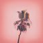 I Can Sing - Single