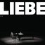 Liebe - Die Box (1-5)