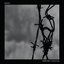Warning Signal - Single