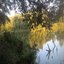Nature Jams 2