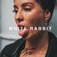 White Rabbit - Single