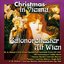 Christmas In Vienna