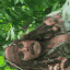 Alinka_malenka 的头像