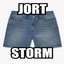 Jort Storm - Single