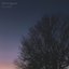 Rumination - Single