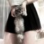 Missing Grey Cat