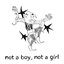 Not a boy, not a girl - Single