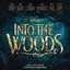 Into the Woods (Original Motion Picture Soundtrack/Deluxe Edition)