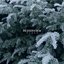 RE2025VIEW, Mixed (DJ Mix)