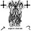 Origins of a Black Hole - Single