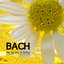 Bach - Air on the G String Johan Sebastian Bach, Classical Composers and Many Other Classical Piano Music Favorites