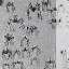 duck duck goose - Single