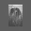 Primeval Guilt