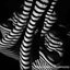 Shadowplay