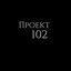 Проект 102