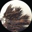 Breeze - EP