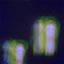 Pipe Dream - Single