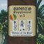 Roots Supplement, Pt.1