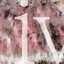 iv