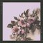 Silk Cuts - Single