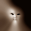 lucasgrozima için avatar