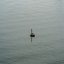 Alone - Single